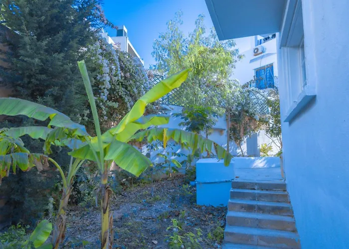 بيت شباب Windmill *