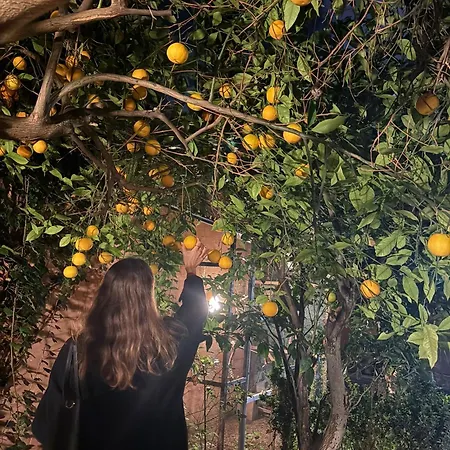 Windmill * Saint Julian's