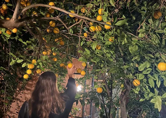 Windmill * St. Julian's